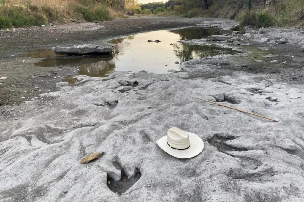 Paluxy River Dinosaur Tracks - Paul Baker / Friends of Dinosaur Valley State Park